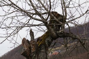 IMG_0163.JPG