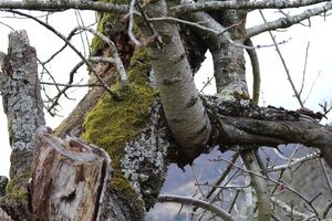 IMG_0162.JPG