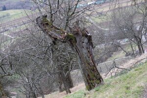 IMG_0158.JPG