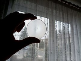 IMG_20260216_094441.jpg