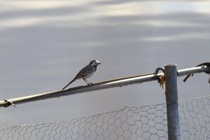 IMG_1883.JPG