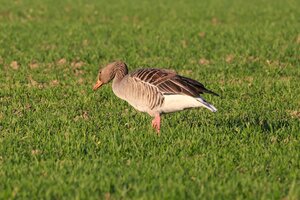 IMG_1928.JPG