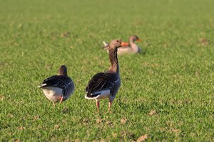 IMG_1930.JPG