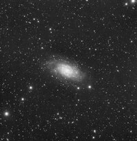 NGC2403_19Min.jpg