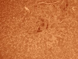 IMG_0658.jpeg