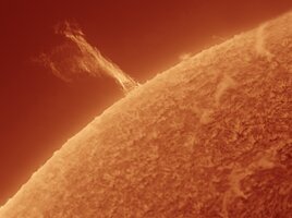 IMG_0682.jpeg