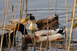 IMG_2019.JPG