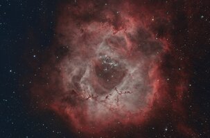 NGC-2244 der Rosetten Nebel.jpg NGC-2244 der Rosetten Nebel.jpg