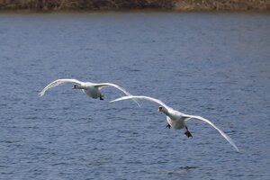 IMG_2507.JPG