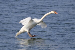 IMG_2510.JPG