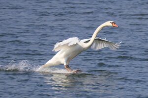 IMG_2512.JPG