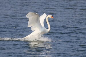 IMG_2513.JPG