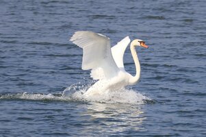 IMG_2514.JPG