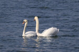 IMG_2518.JPG