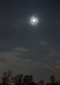 PXL_20240118_212039454.NIGHT~5.jpg