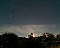 PXL_20230904_210023717.NIGHT~3.jpg