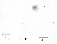 19081101002018W2_Ninja_144.jpg