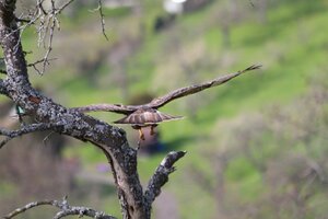 IMG_0335.JPG