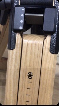 IMG_3179.jpeg