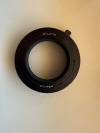 IMG_0767.jpeg