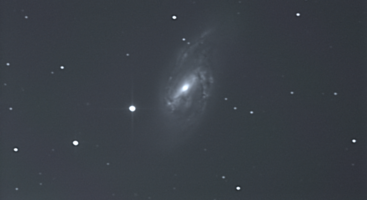 M 66 Leo 13.05.23.png