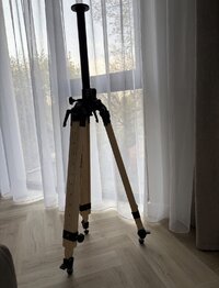 IMG_6495.jpeg