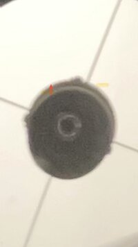 IMG_0729.jpeg