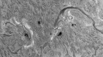 2024-09-05-1241_6-RAH-h-alpha-Sun_Halpha.jpg