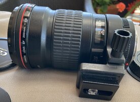 IMG_3349.JPG