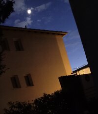 20260420_213124.jpg