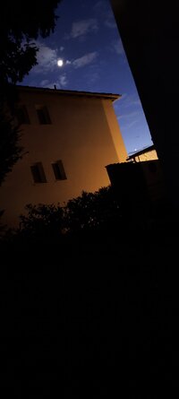 20260420_213053.jpg