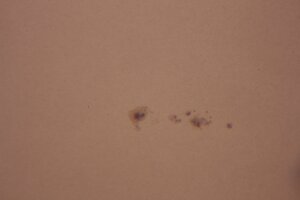 IMG_0357.JPG