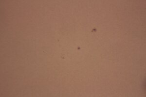 IMG_0355.JPG