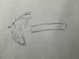 IMG_1216.jpeg IMG_1216.jpeg