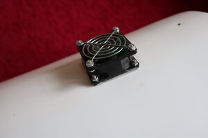 IMG_0019.jpeg