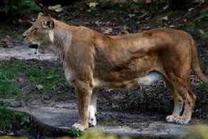 Zoo Münster 21_133red.JPG