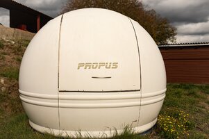 Propus_1.jpg