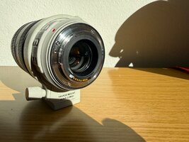 IMG_6972.JPG