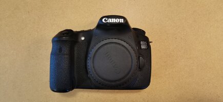 IMG_20260517_173207.jpg