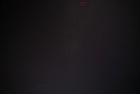 IMG_8353.jpg