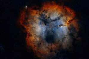 2025_33 - IC 1396.jpg