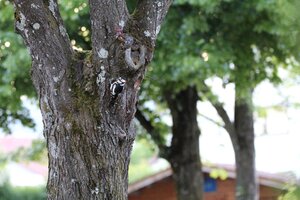 IMG_7820.JPG