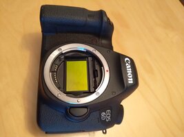 IMG_20260525_204955.jpg