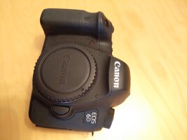 IMG_20260525_204930.jpg