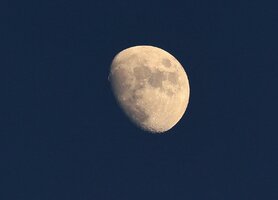 7N2A8539.JPG