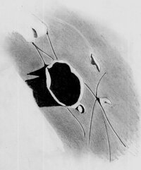 Ramsden_170208_ortho.jpg