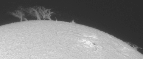 2026-06-09-0852_0-U-L-Sun_Halpha_g4_ap27_conv_aligned_pipp.gif