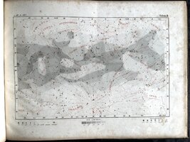 IMG_6574.jpeg