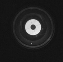 IMG_0179.jpeg