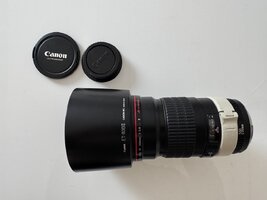 IMG_1524.jpeg